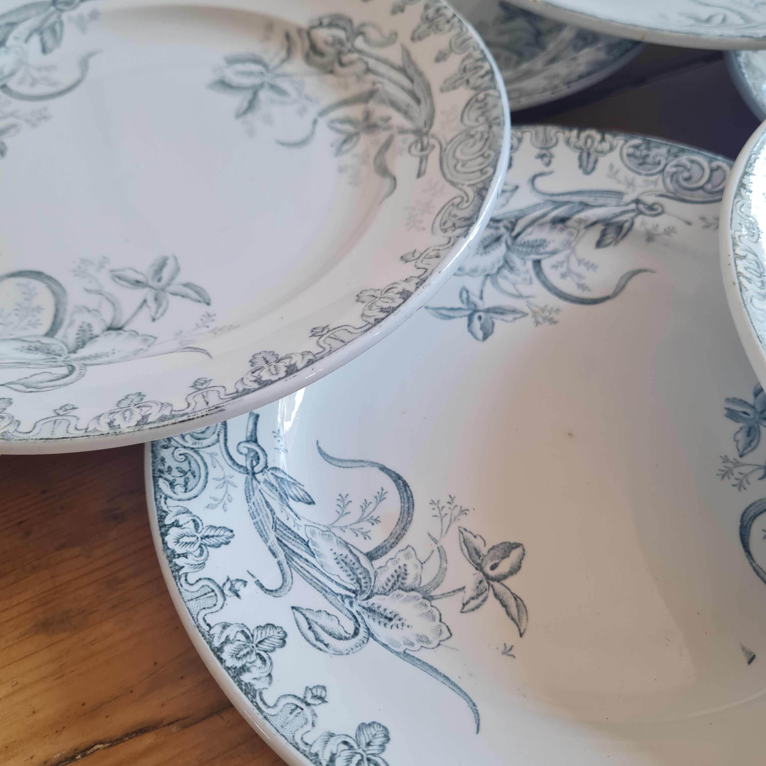 Set of 10 plates in iron earth