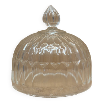 Cloche de conservation (M)