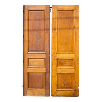 Double old door, old wooden door, large vintage door