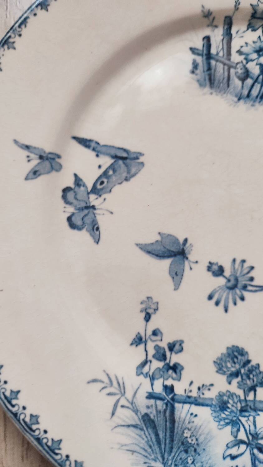 4 flat plates in Sarreguemines earthenware, Tsarine