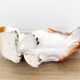 Vintage hollywood regency basset hound statue