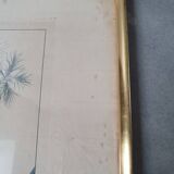 Tableaux