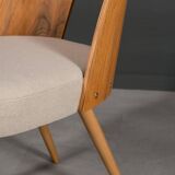 Set of 8 dining chairs by A. Šuman, 1960s