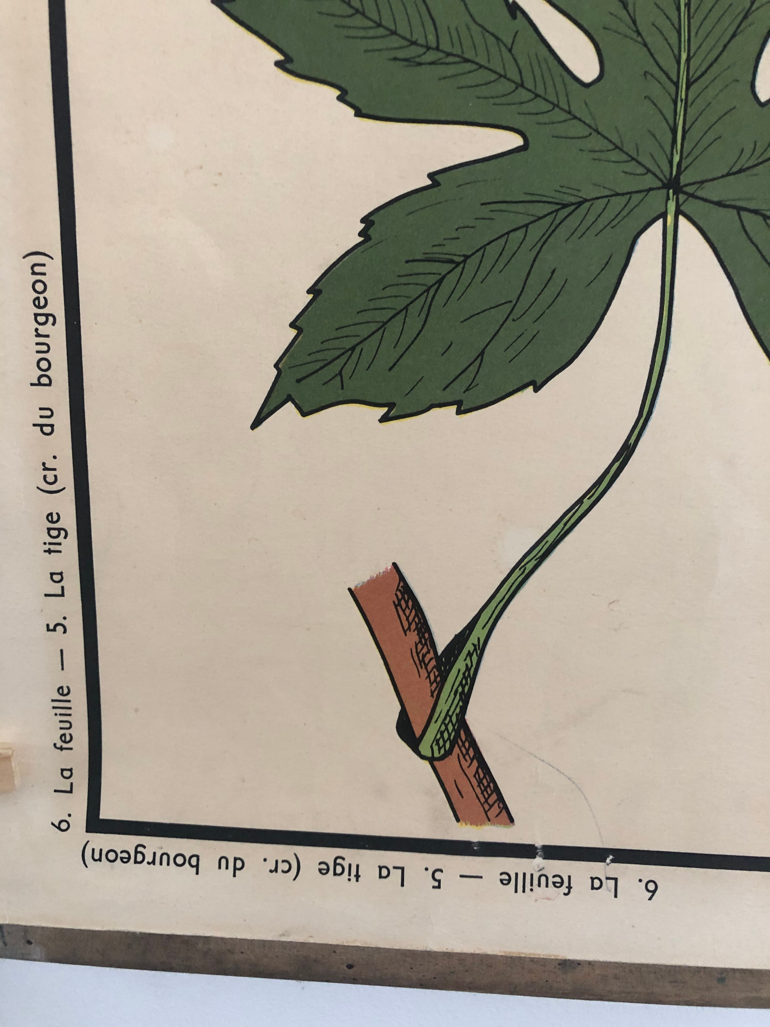 Old School Poster Rossignol No. 5 and 6