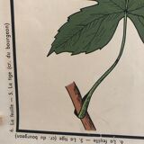 Old School Poster Rossignol No. 5 and 6