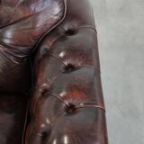 Set of two marbled cowhide leather Chesterfield armchairs in English style