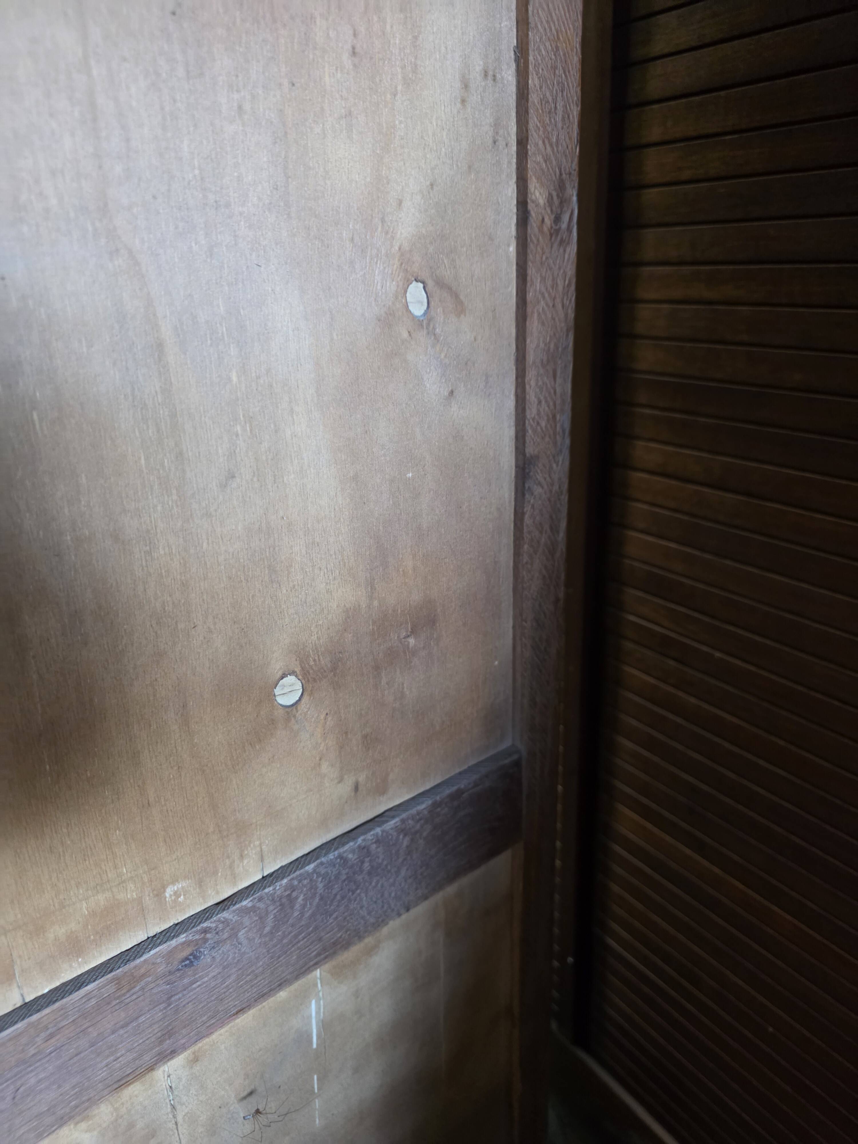 Antique double curtain cabinet in oak