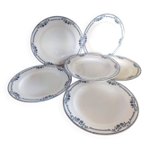 Deep plates ironstone Saussure