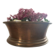 Copper planter