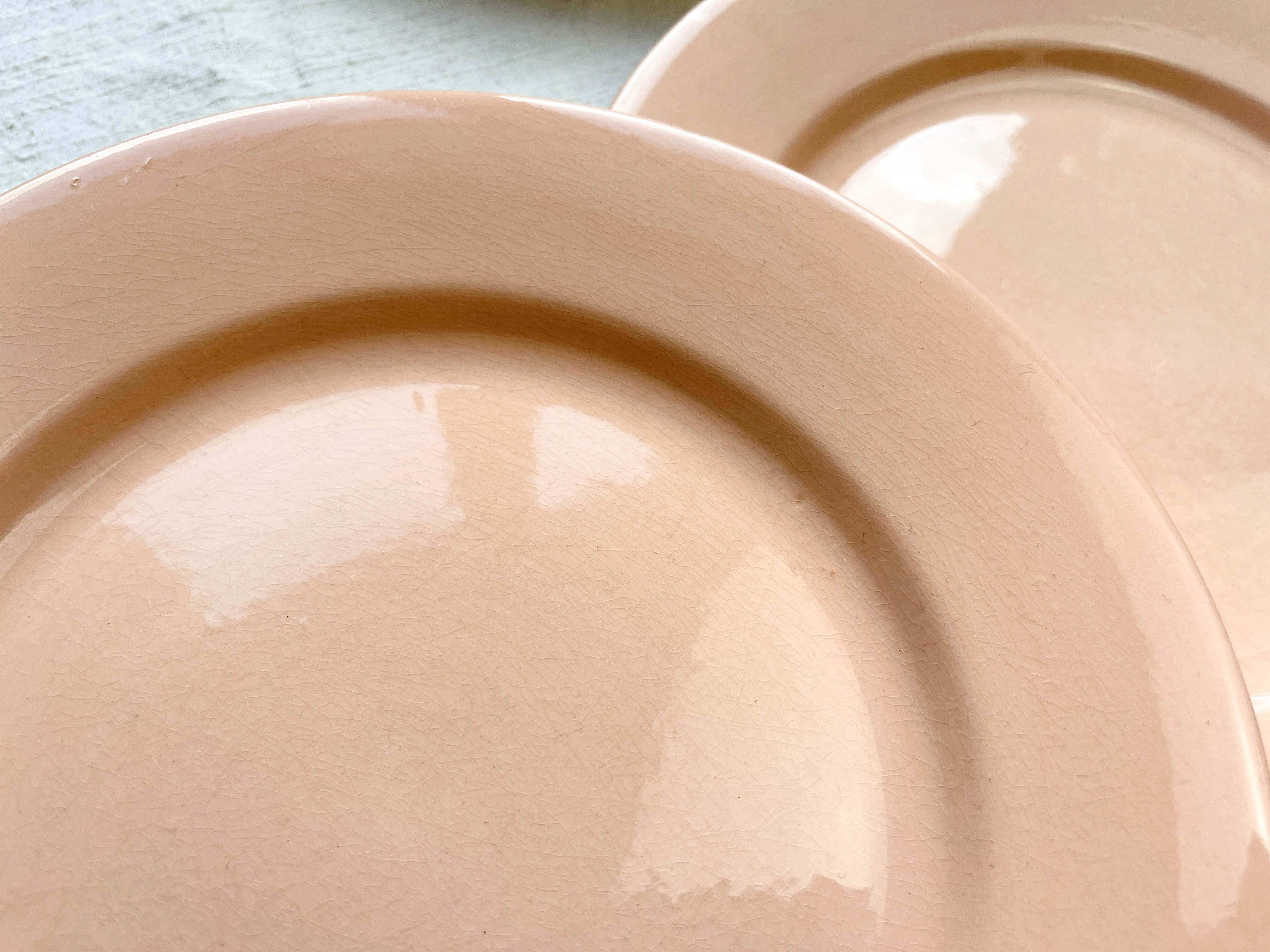 7 Flat plates Rose Digoin Sarreguemines