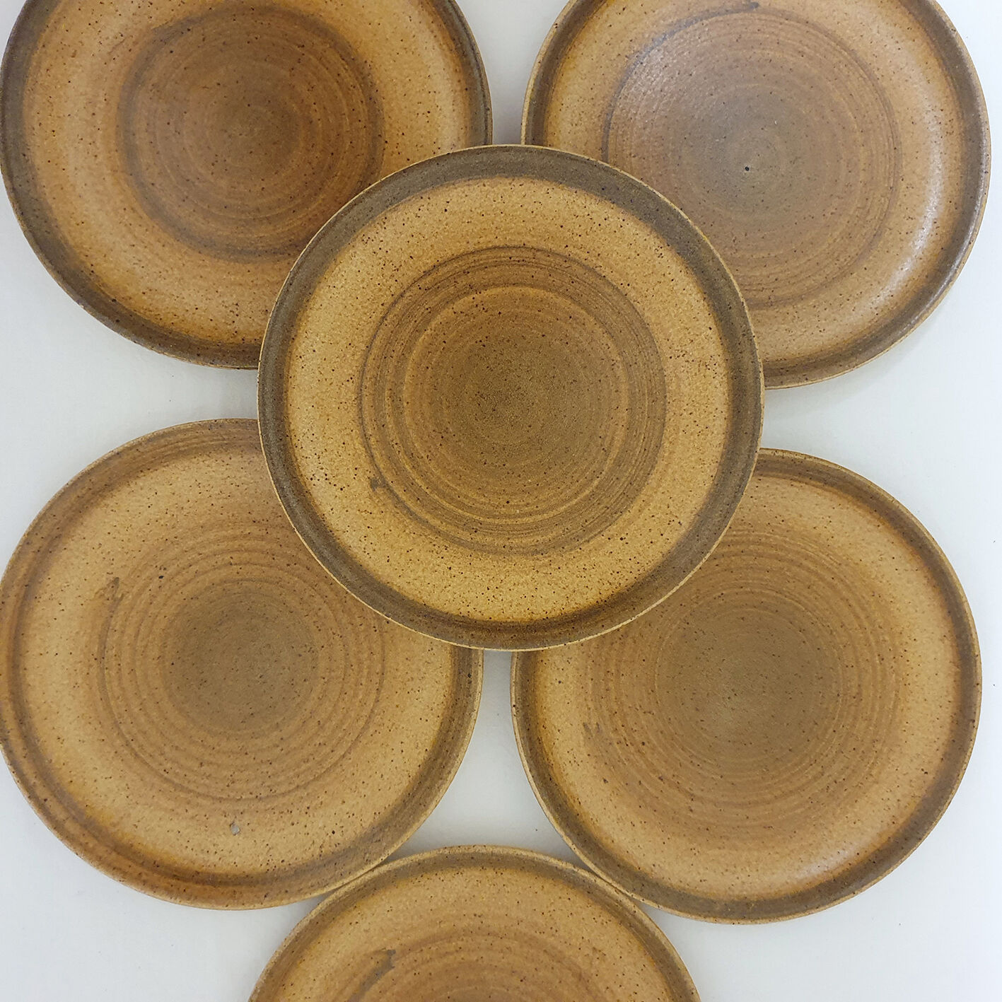 6 stoneware plates