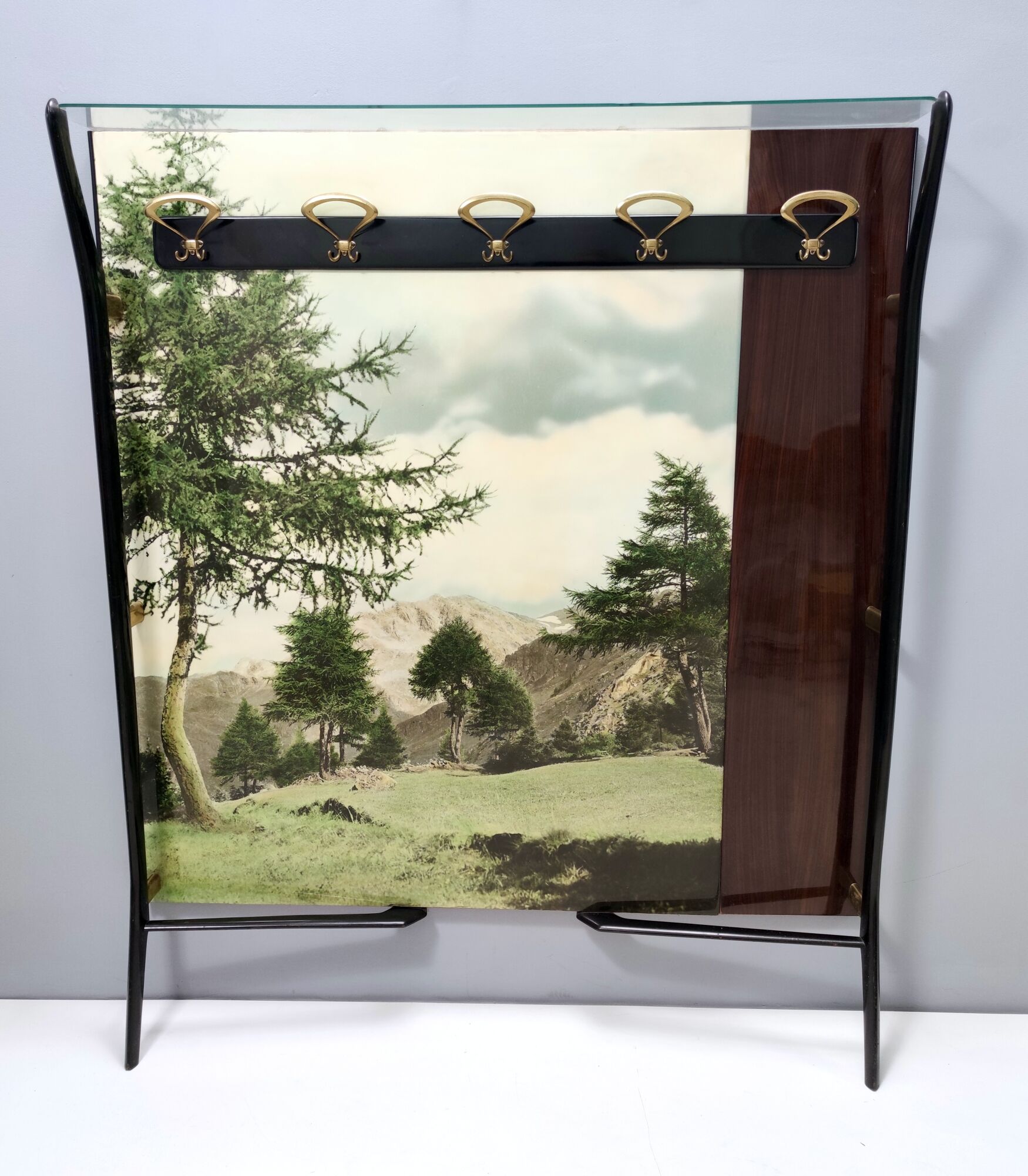 Vintage Ebonized Beech, Brass and Glass Coat Rack with a Landscape, Italy
