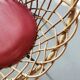 Franco Albini for  Rohe Noordwolde fauteuil