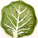 Green slurry plate like Portuguese cabbage leaf