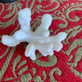 White coral