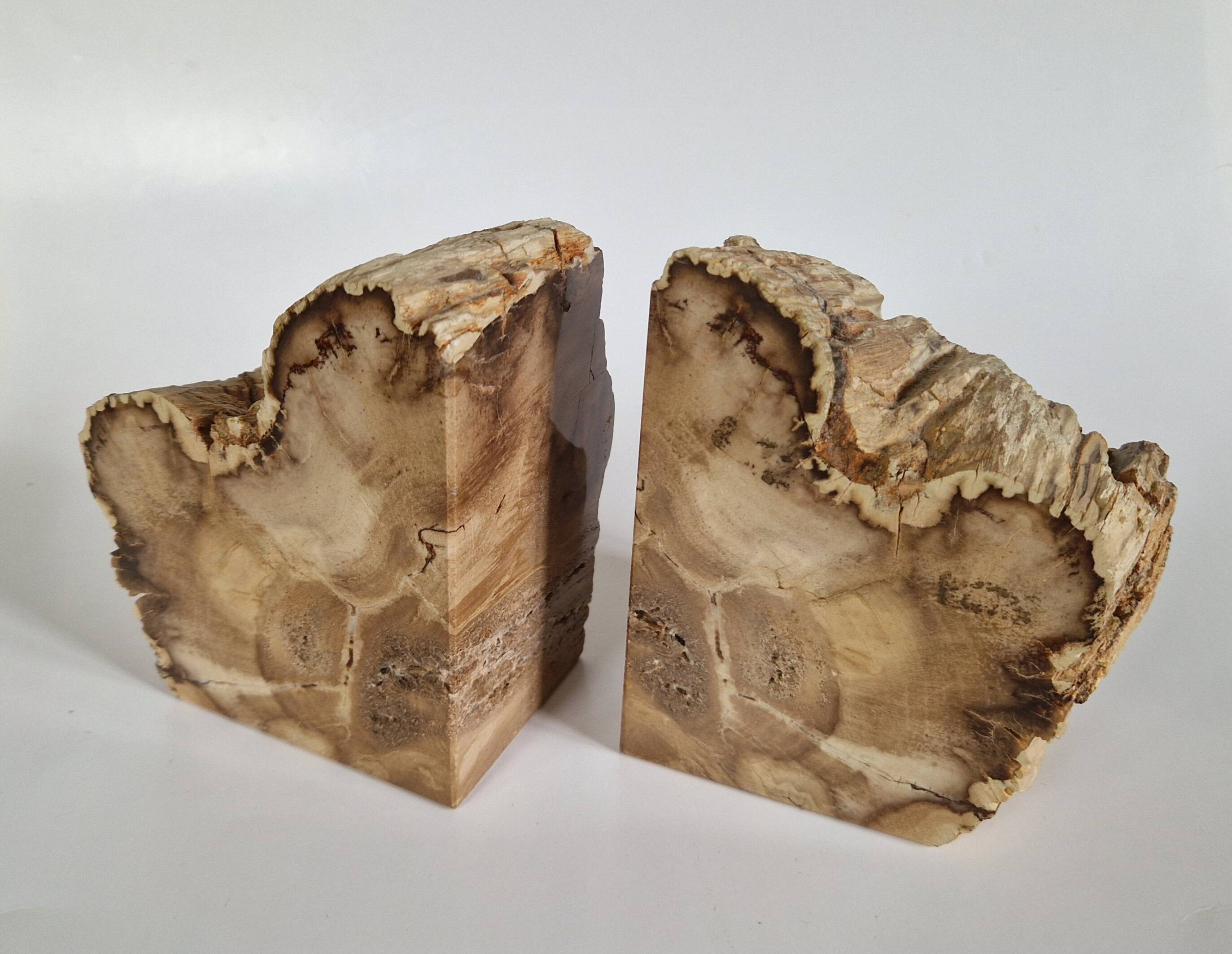 Pair of petrified wood bookends