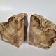 Pair of petrified wood bookends