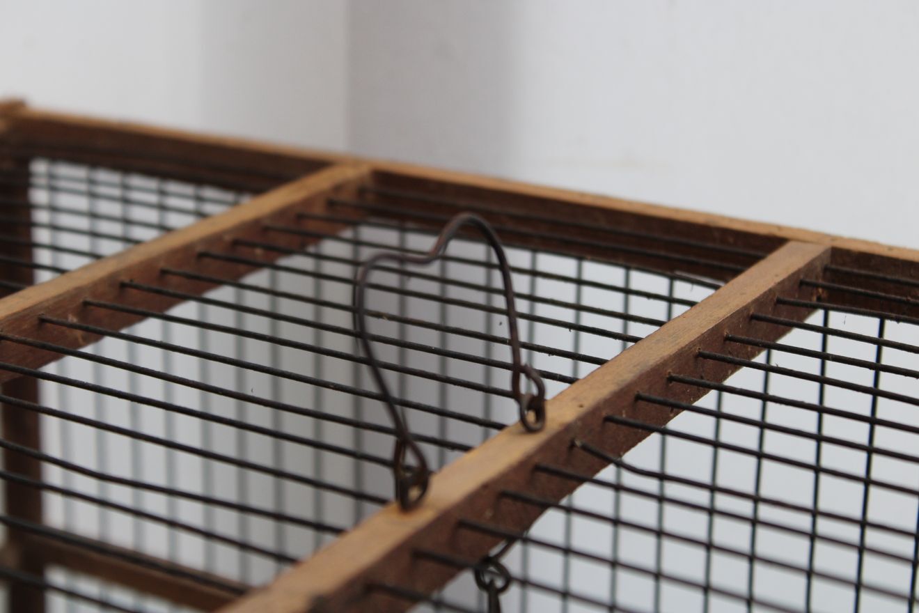 Old wooden bird cage