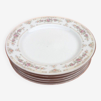 5 grandes assiettes Porcelaine à décor floral