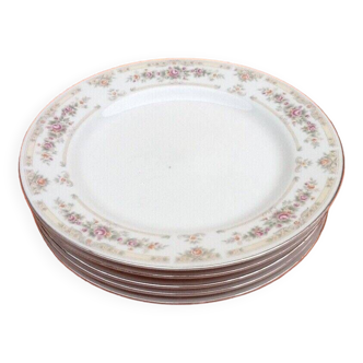 5 large porcelain plates with floral decoration