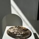 Dish in petrified wood