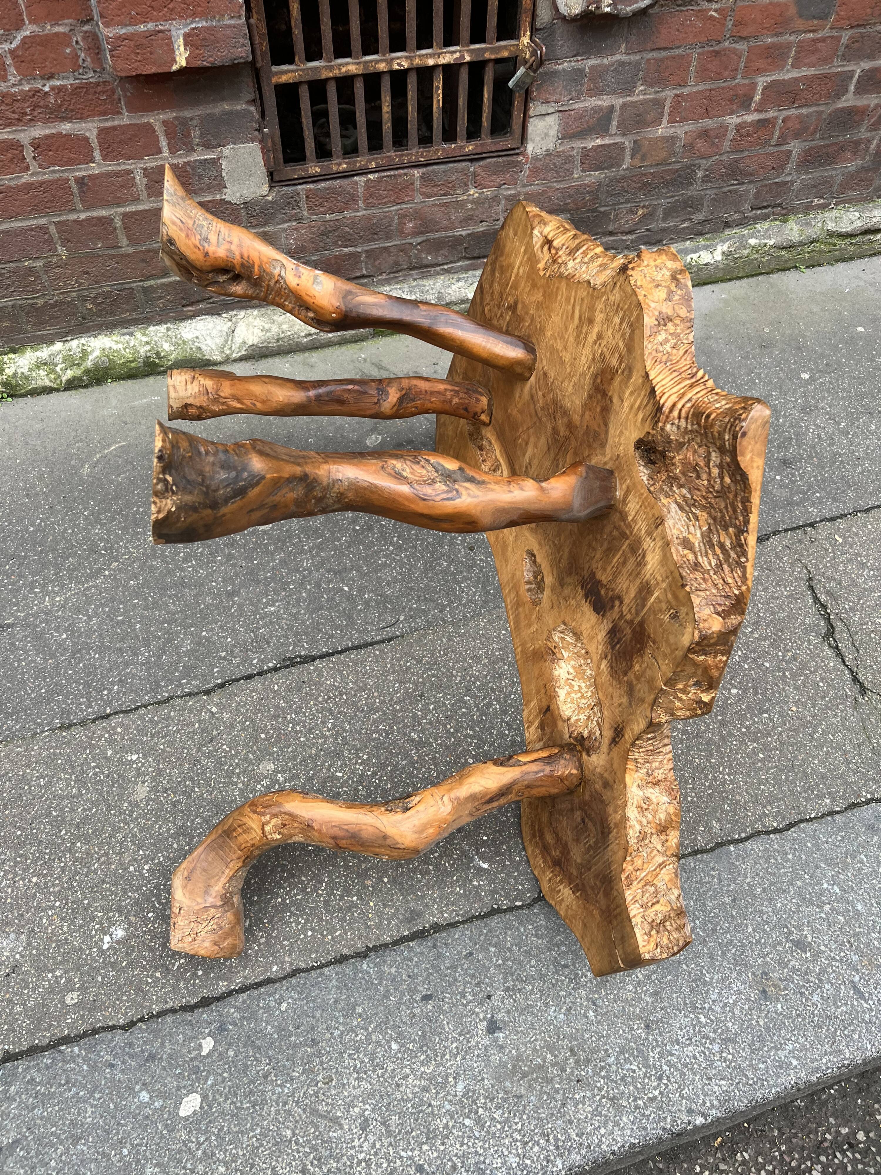 Brutalist coffee table in solid olive tree, period around 1960