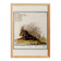 Small poster on the African porcupine, after an old engraving by