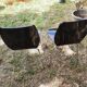 Lot de 2 chaises plexiglas vintage