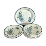 Service Terre de Fer