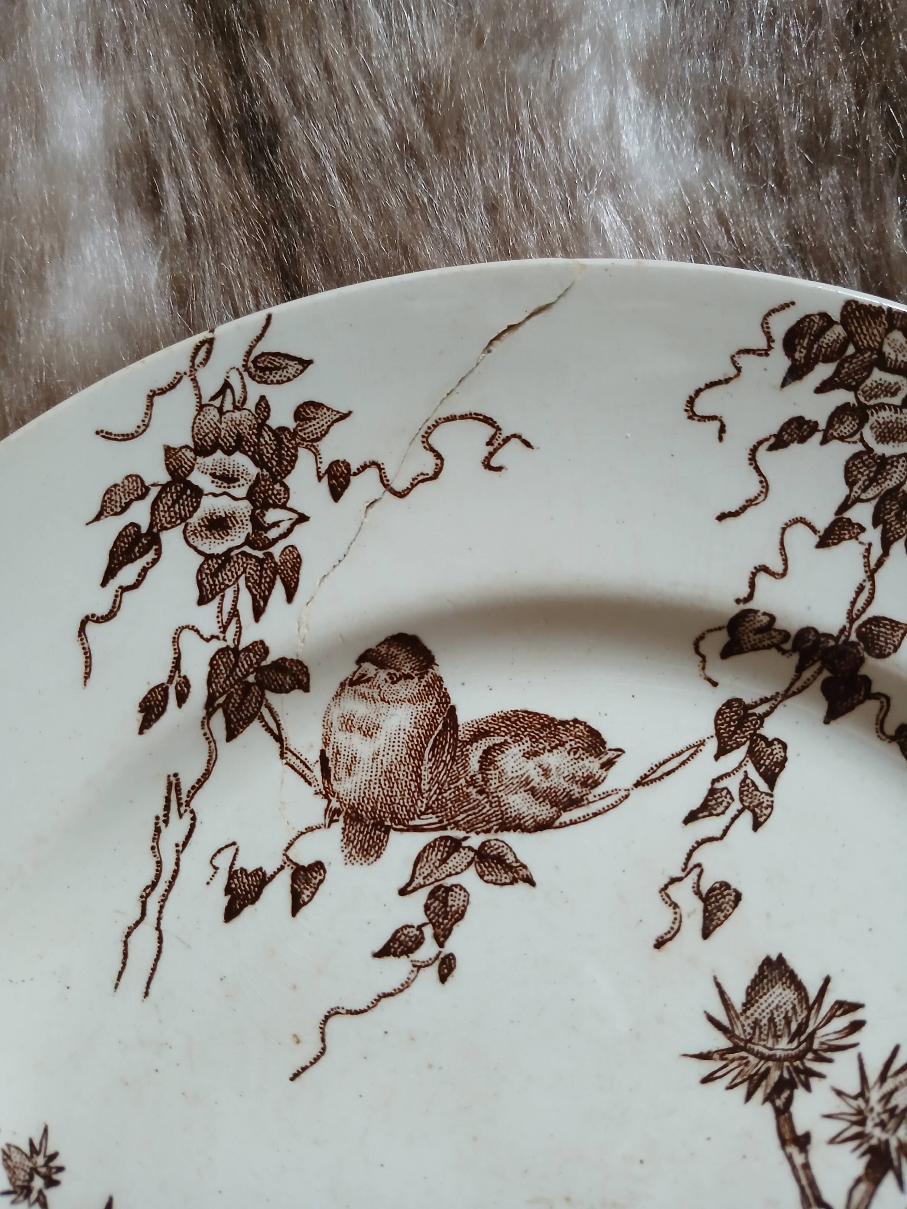 10 antique flat plates in ironstone