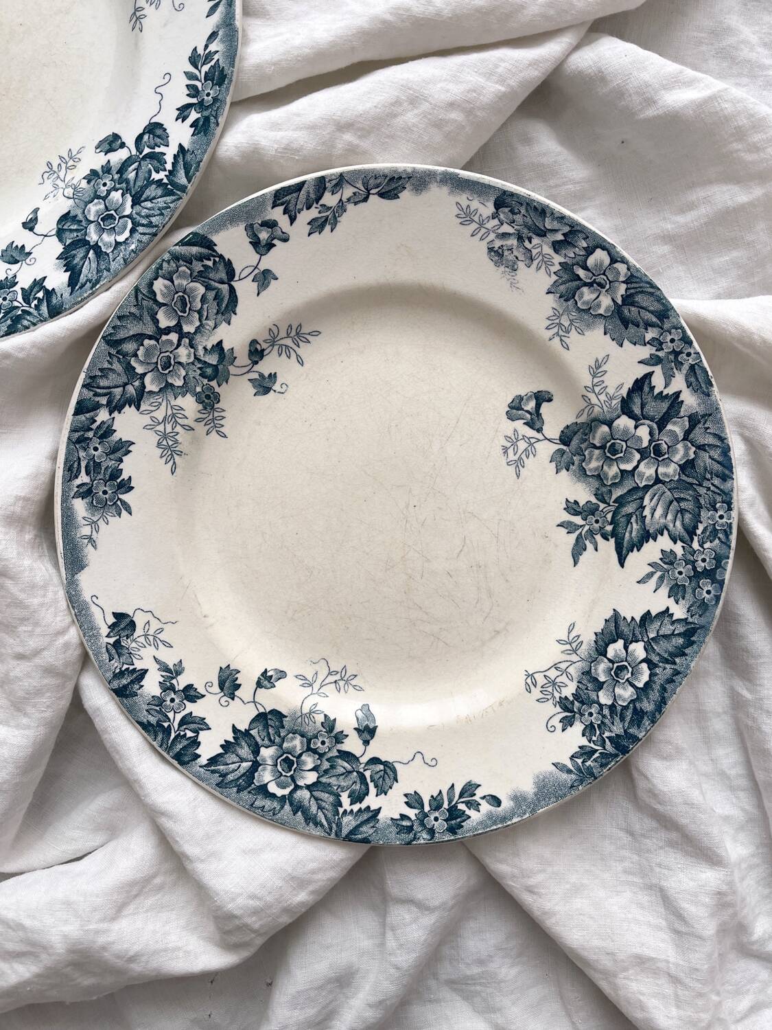 2 flat ironstone plates “Marie Louise” Saint Amand and Hamage