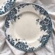 2 flat ironstone plates “Marie Louise” Saint Amand and Hamage
