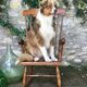 Vintage scandinavian rocking chair