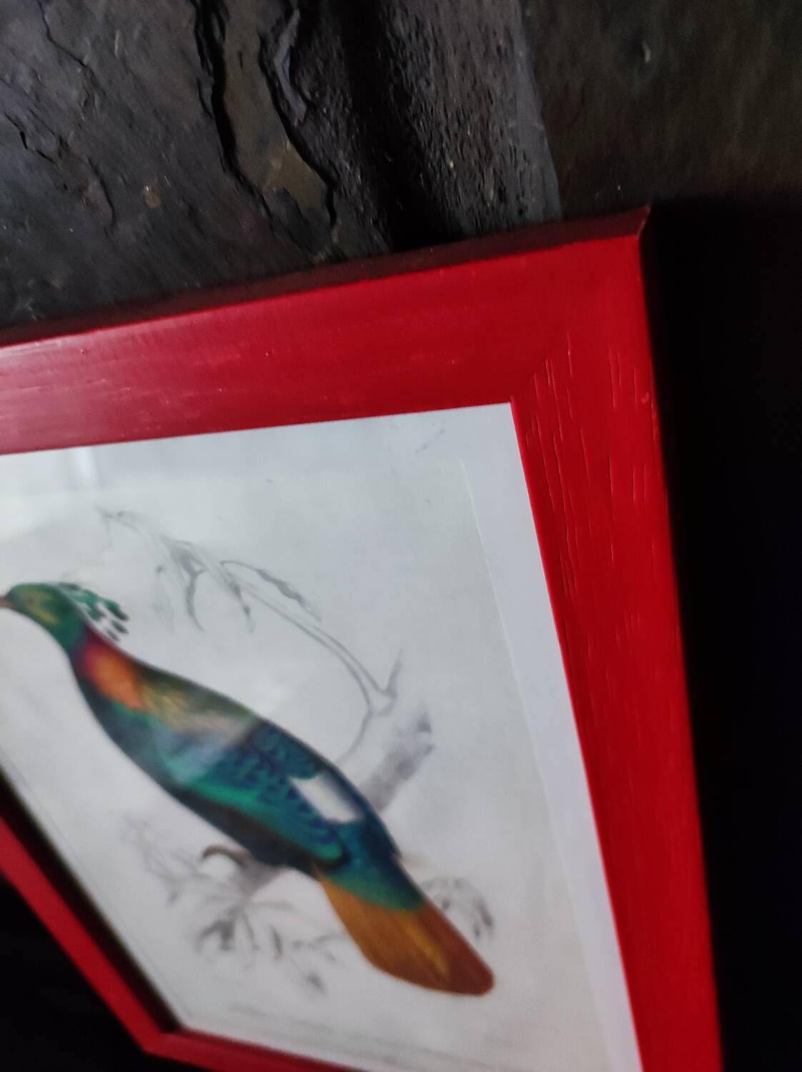 Color lithograph, Gallinaceous, JC Fournier