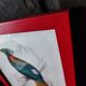 Color lithograph, Gallinaceous, JC Fournier