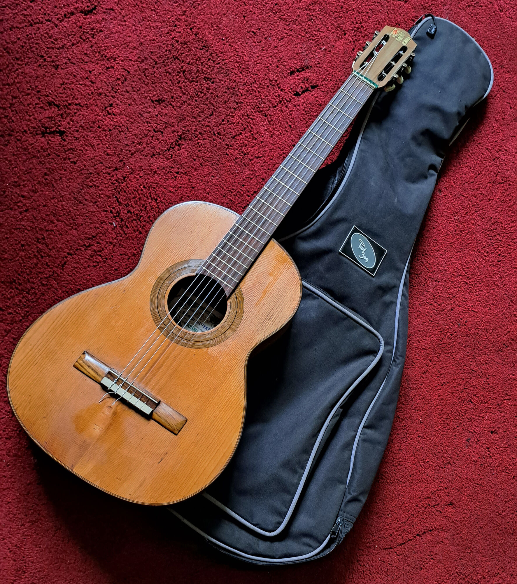 Guitare vintage sicilienne s.groi silvestri 1950s/60s