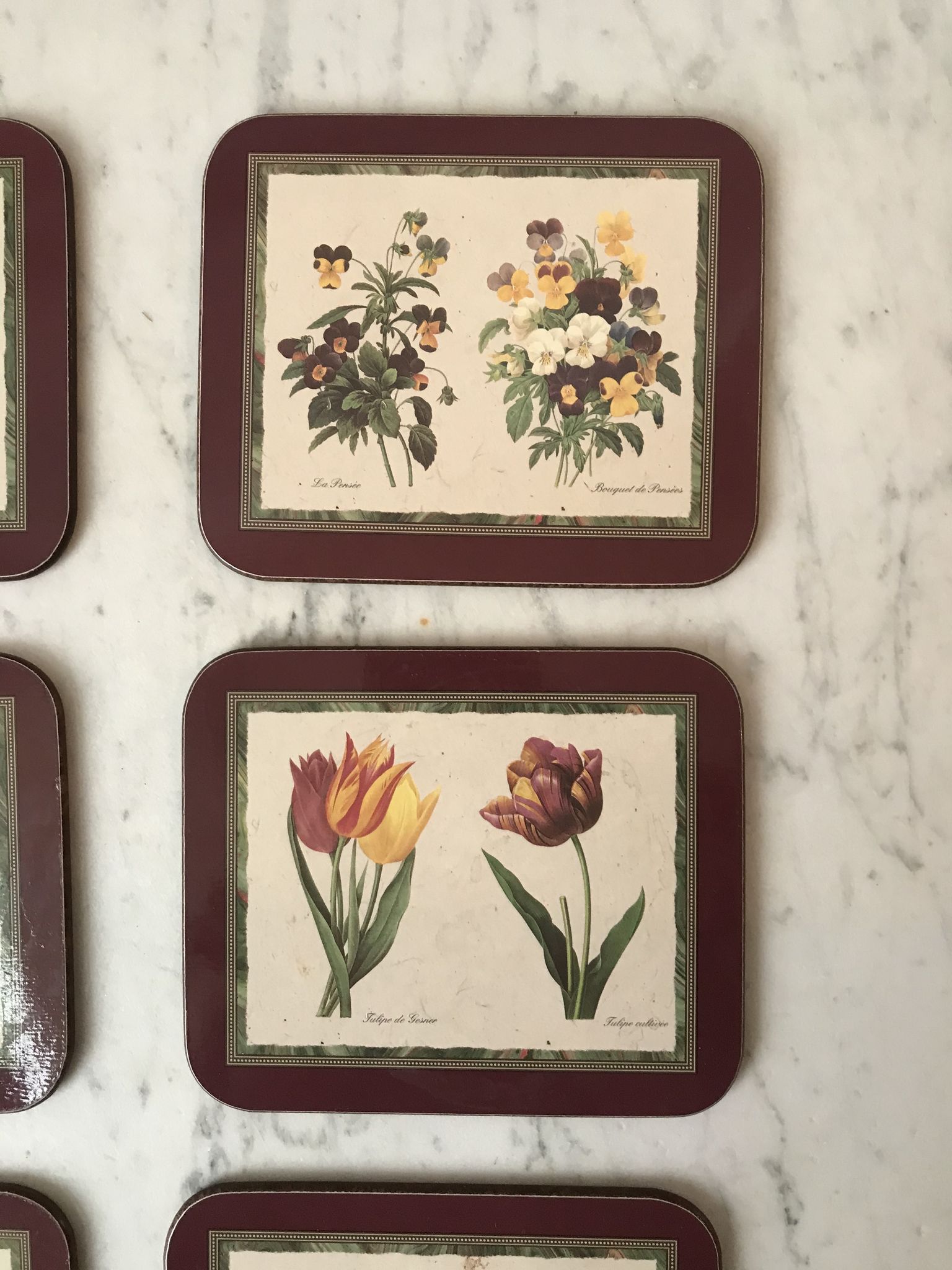 6 coasters Jason Coasters flowers Made in New Zealand (1963)