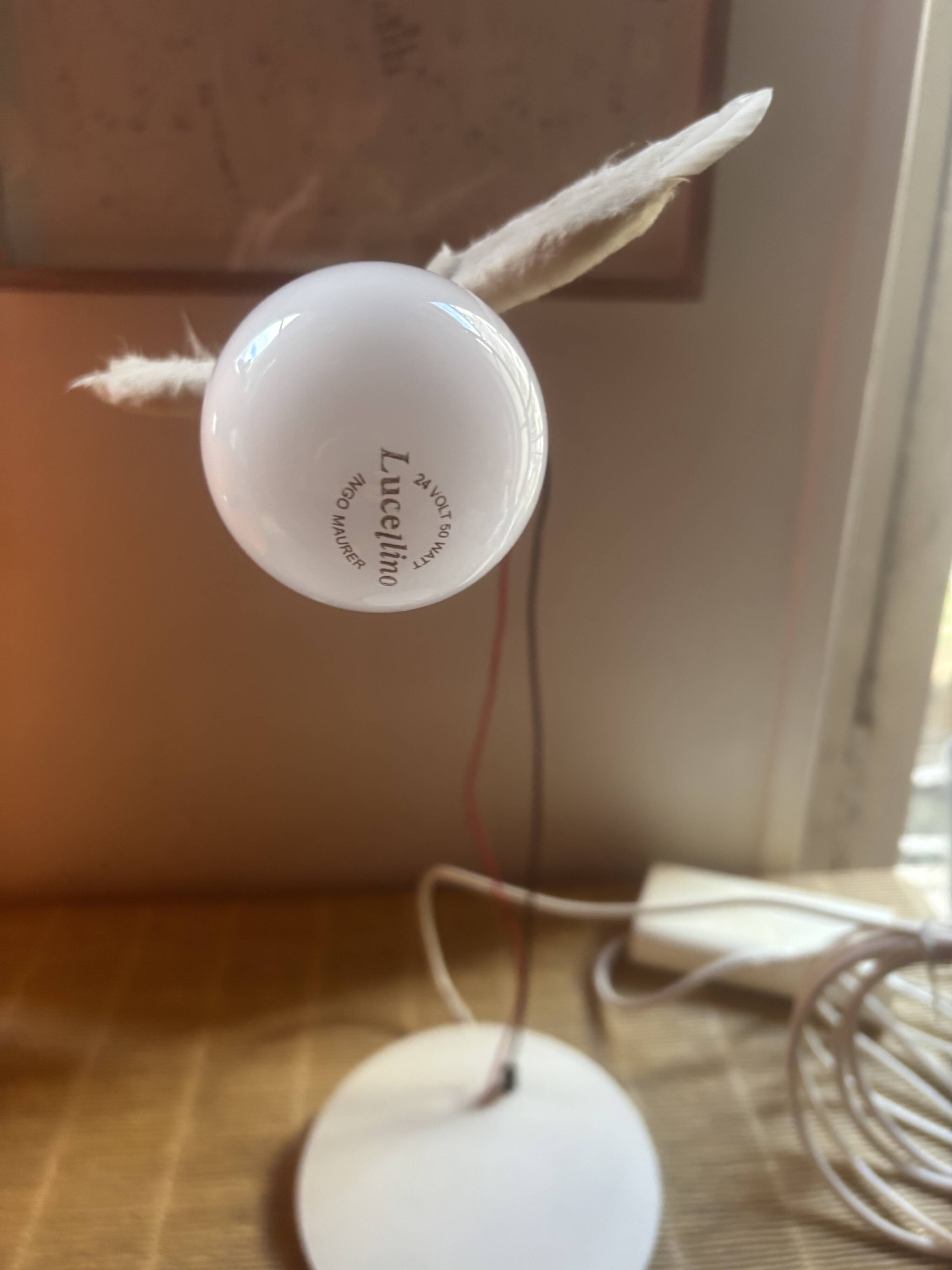 Ingo maurer Lucellino table lamp