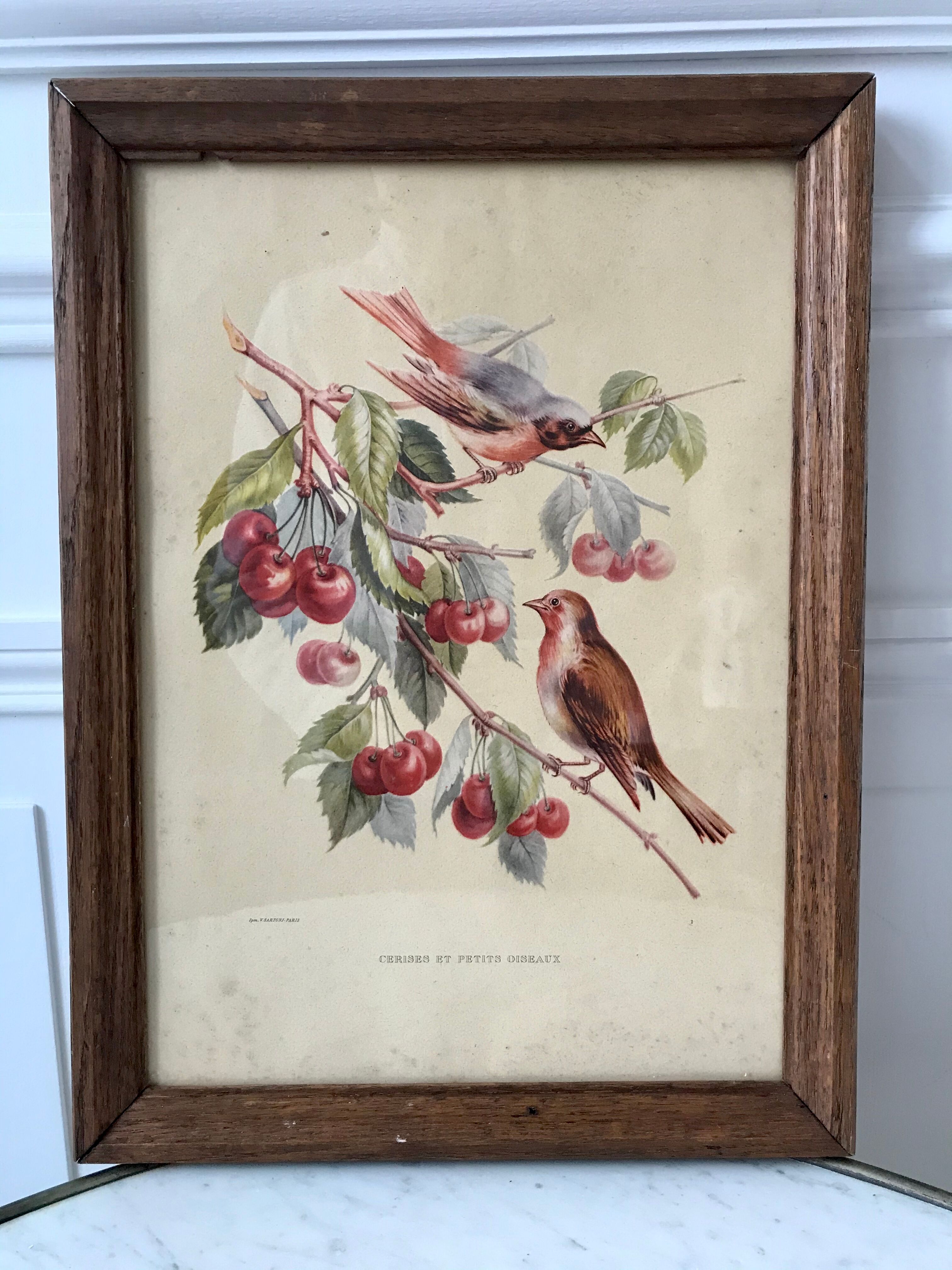 Lithograph v. sartonj cherries and small birds oak frame 50s