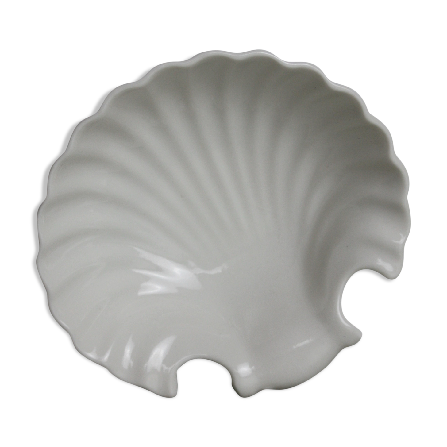 White porcelain shell pocket empty