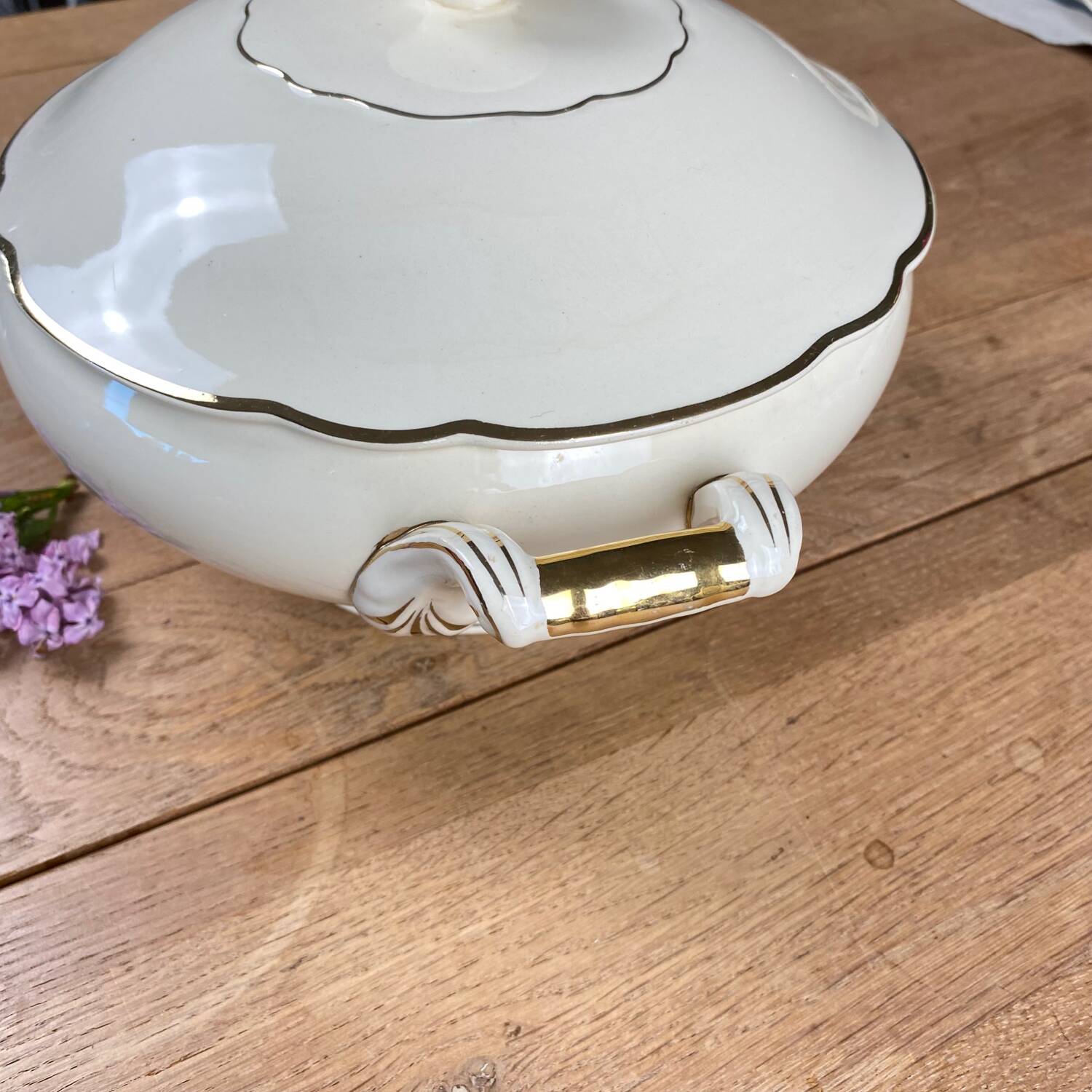 Opaque porcelain soup tureen Digoin and Sarreguemines