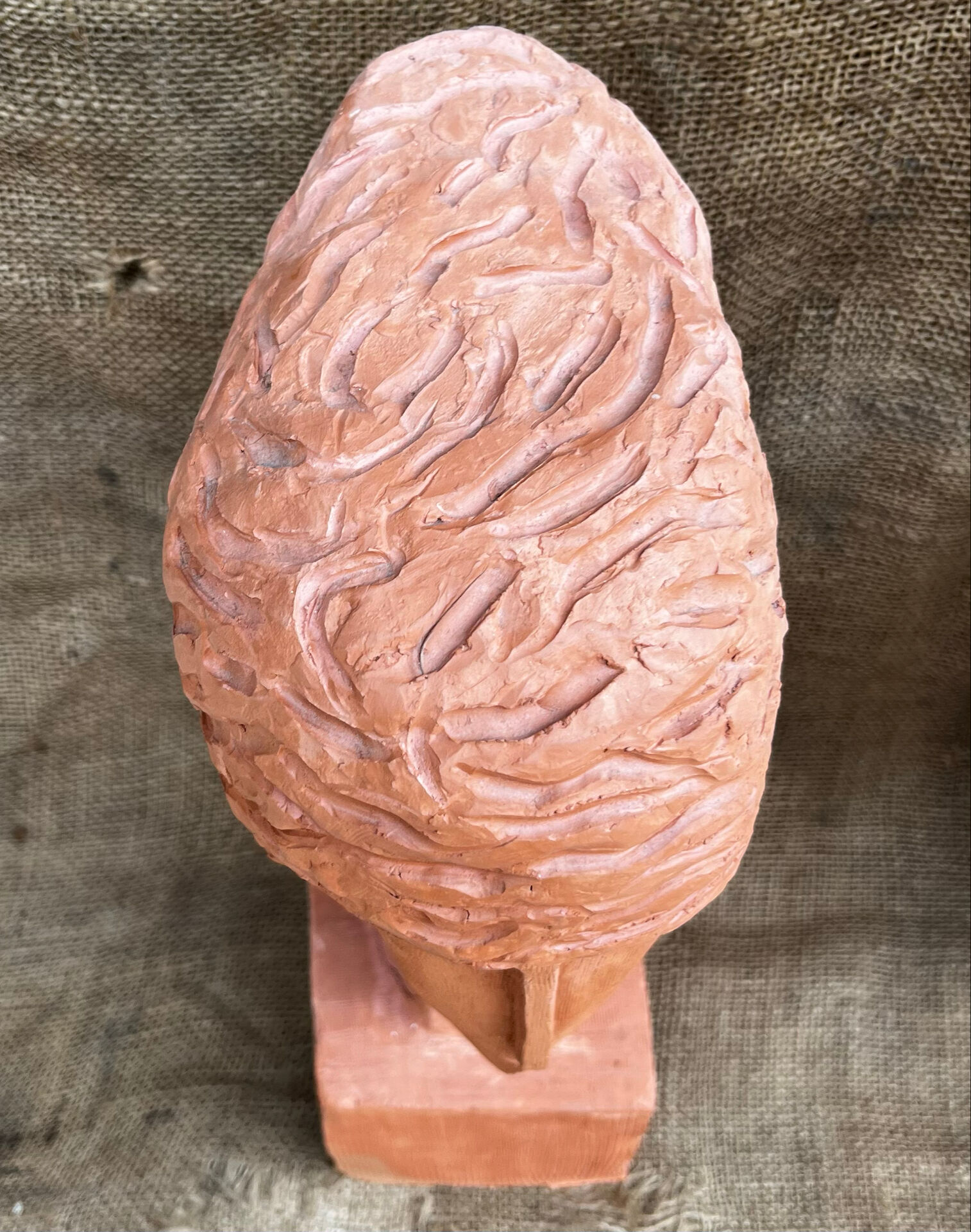 Buste de femme en terre cuite
