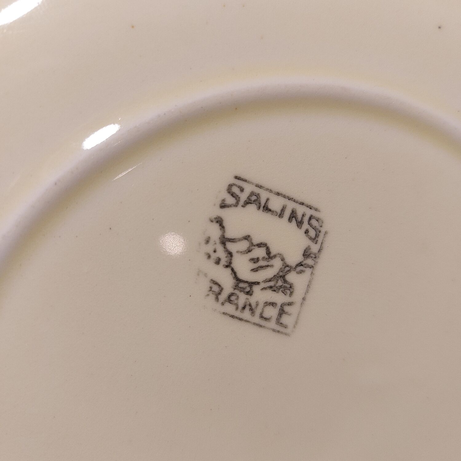 Set of 12 plates and 1 course Salins Deauville