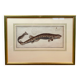 Gravure ancienne poisson – Ludwig Schmidt (XIXᵉ siècle)