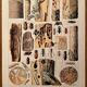 Lithograph on wood-boring insects (zeuzère) from 1907