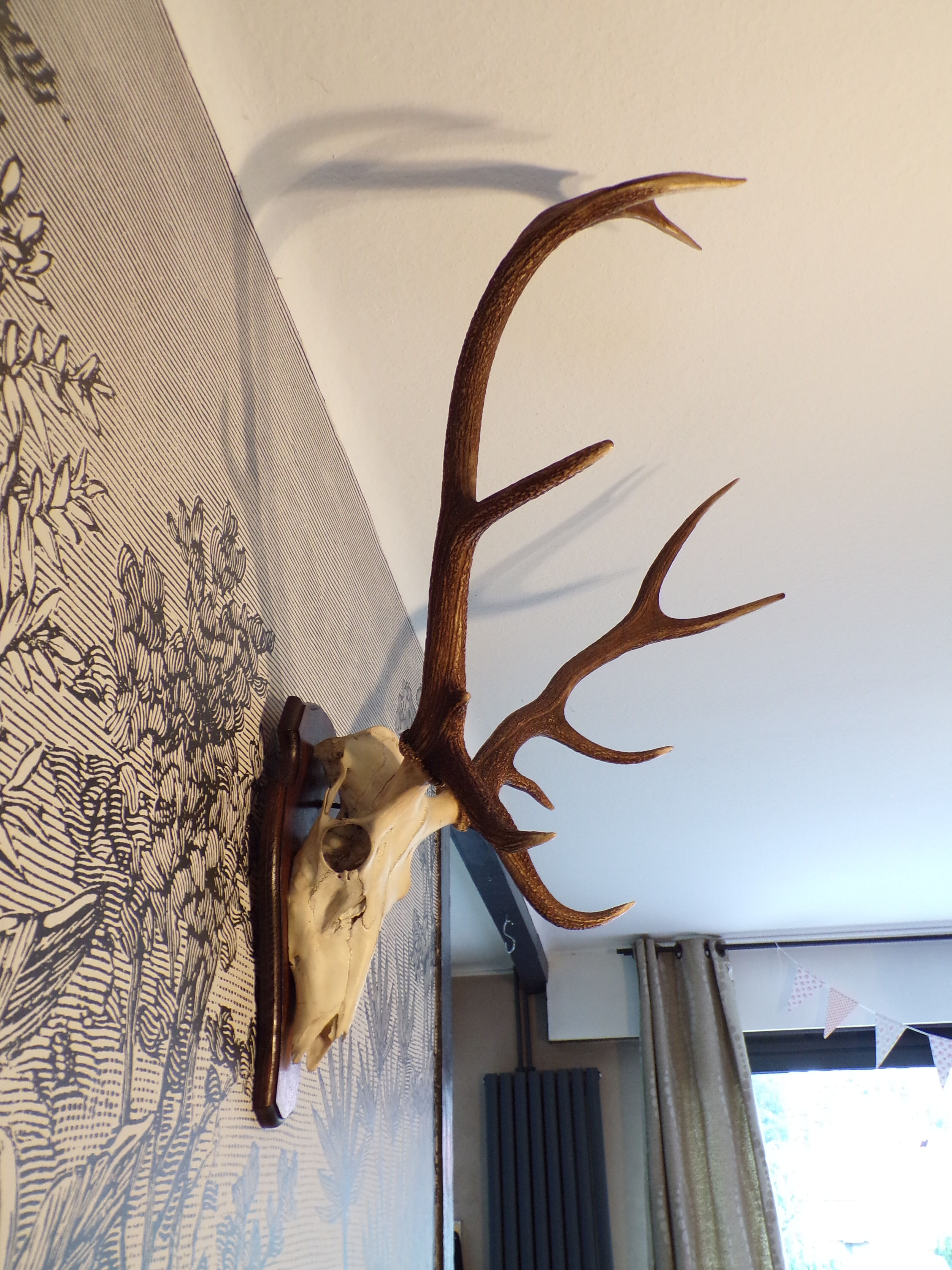 Trophée de chasse cerf grande taille