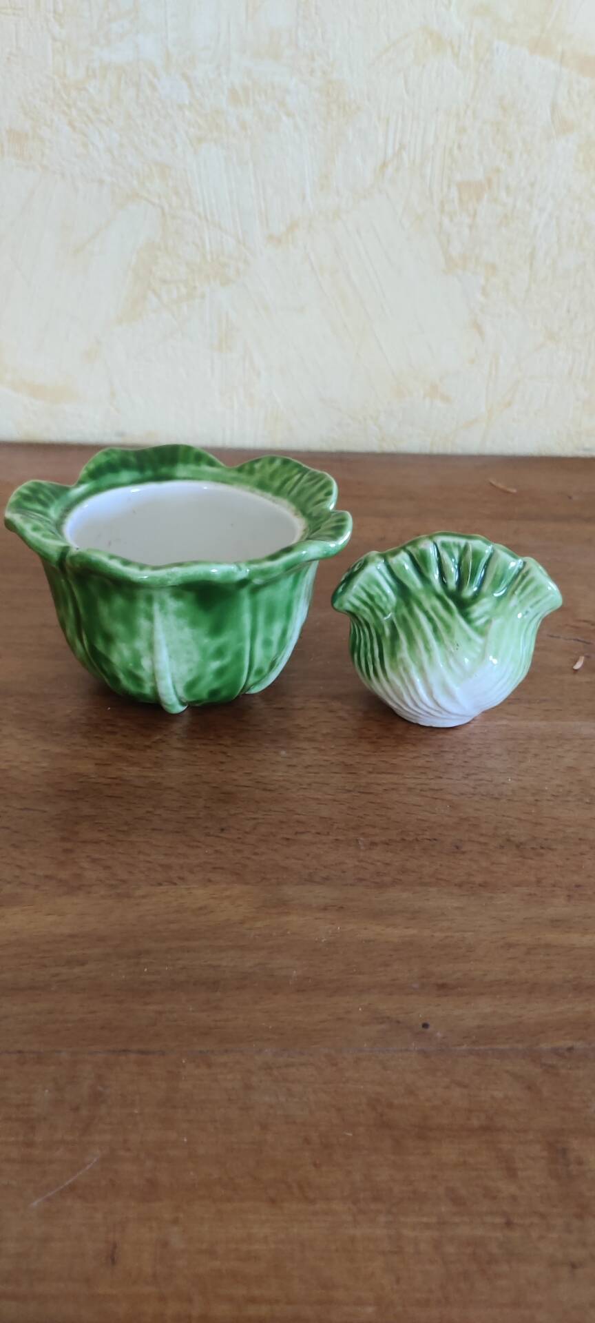 Condiment pot and its salt shaker
