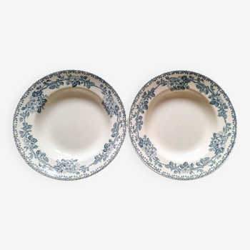 Duo of iron earthenware soup plates