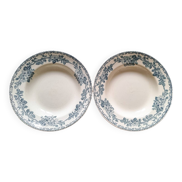 Duo of iron earthenware soup plates