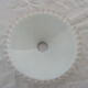 Dentele white opaline offal